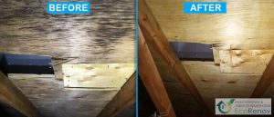 Mold Removal, Repentigny (Before/After #12)