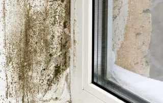 Mold Problems & Indoor Humidity Level