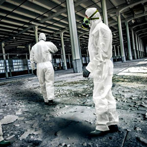 Professional in Asbestos Removal, Laval & Montreal