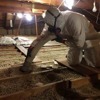 Vermiculite Removal, Montreal & Laval