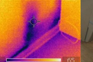 Inspection de moisissures, tests de moisissures & analyse