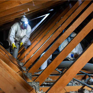 Décontamination de vermiculite dans l'entretoit