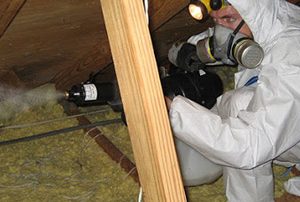 Entrepreneur spécialisé en décontamination du toit