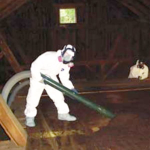 Entreprise pour enlever la vermiculite au grenier