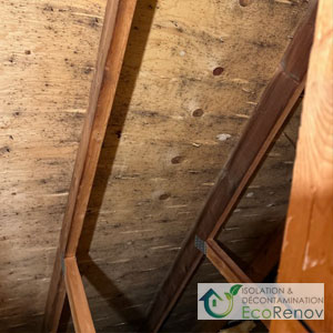 Isolation de grenier, Beaconsfield - Moisissures causées par la mauvaise ventilation dans le grenier