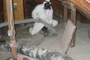 Décontamination de vermiculite dans l'entretoit, Saint-Hubert